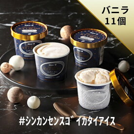 # シンカンセンスゴイカタイアイス（バニラ）11個入り　送料無料　プレミアム　アイス　アイスクリーム　プレゼント　土産　お取り寄せ　スイーツ　新幹線　スジャータ