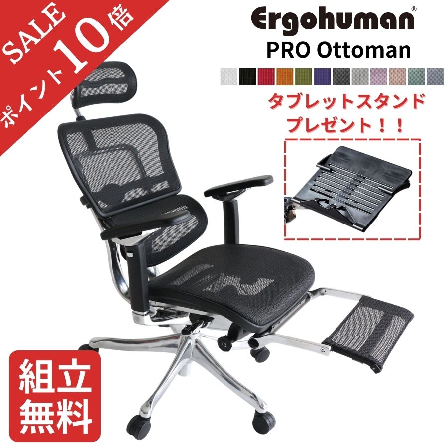 Ergohuman エルゴヒューマン プロ オットマン オフィスチェア 内蔵型