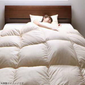 Hѕzc DOWNPASSF tXYzCg_bN_EGNZS[hxHѕzc10_Zbg xbh^Cv LO10_Zbg