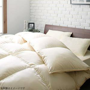 Hѕzc { hJrL GNZS[hx􂦂tXY_bN_E9010_Zbg xbh^Cv LO10_Zbg