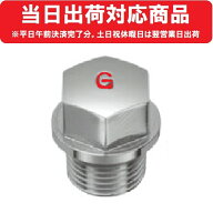 【光陽産業】Gプラグ R1/2 都市ガス/プロパンガス兼用 光陽産業 ガスプラグ クロームメッキ G-PLG #NP