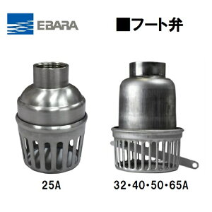 yGo|vzt[g XeX ˂݌` t[gou `쏊