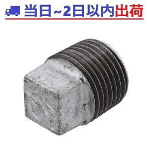 �yCK�����ze���p�� 40A (1.1/2B�j�v���O P �˂����ݎ� �b���S���ǌp��JIS B 2301�K�� #ak