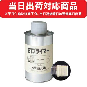 yoוiz M 21vC}[ (AC{[) 500g nPt KX Tr~ߓh OZvC}[ #ts K~