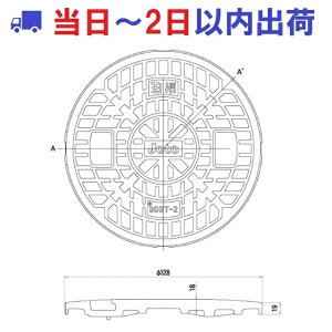 �yJOTO�zJT2-300CW �ψ�2t �z���C�g �}���z�[���W ov