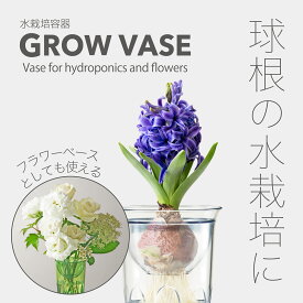 【公式直営店 アウトレット】球根 水栽培 容器 グロウベース 育てる過程が楽しめる水栽培容器 球根　多肉植物　サボテンなどの水栽培に 花を生けるフラワーベース（花瓶）として 中底の突起で根がからむのを防げる 水耕栽培 インテリア おしゃれ かわいい 癒し