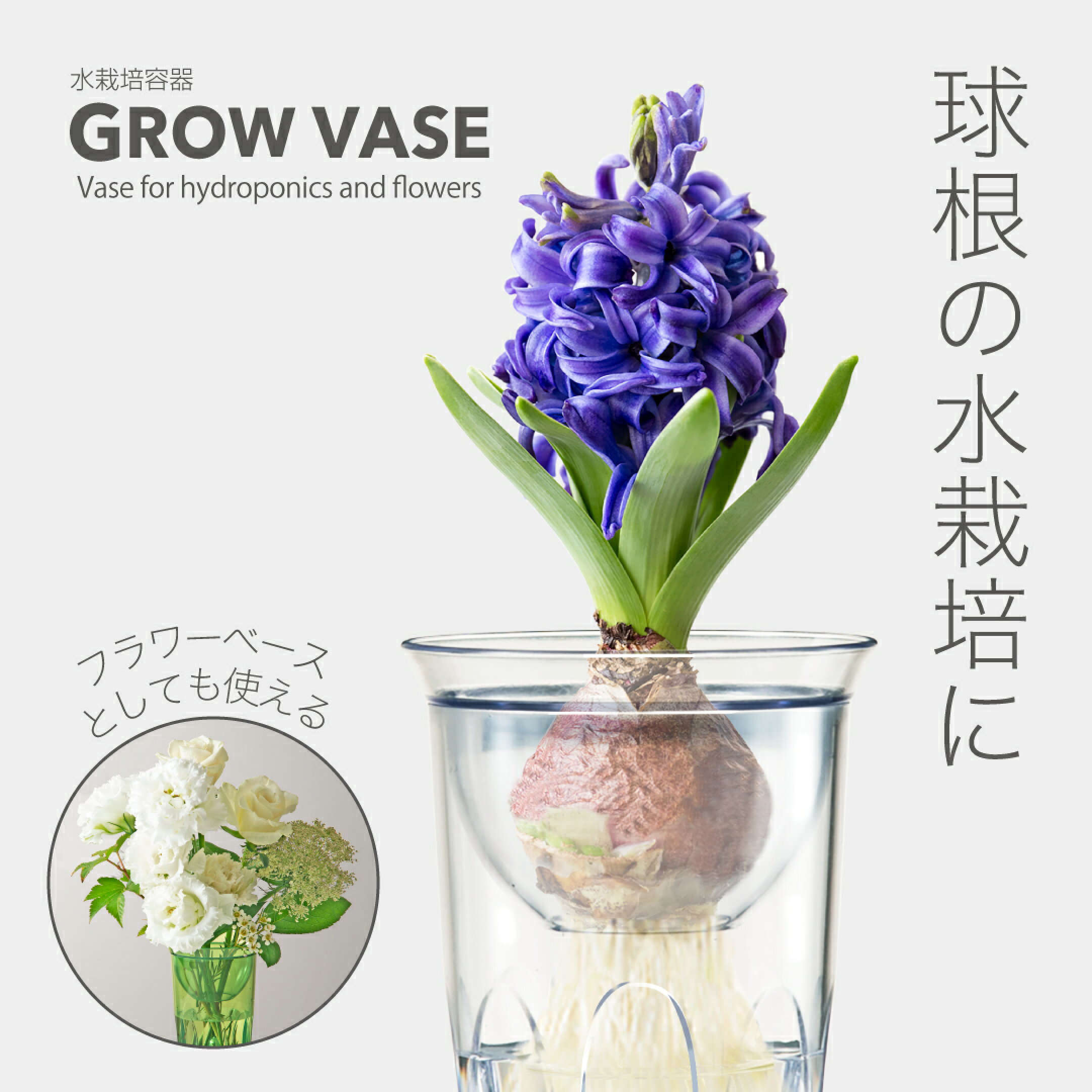 グロウベース　水栽培容器