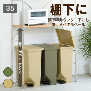 10 |Cg 10{ ycXz S~ S~X S~35bg S~ S~y_ IEJE^[ɂuy_y[35 2WAY Ru ^eu y_ŃI[v 