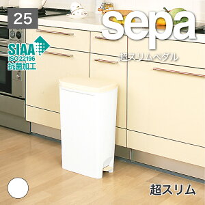 ycXz ZpXy_25  S SIAA RۉH ȃXy[X X X  22cm ܎~ߕt zCg x[W S~ ݔ Lb`  RpNg ʃy_ 