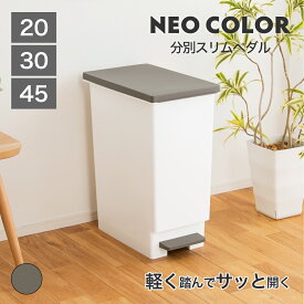 【公式直営店】ゴミ箱 スリム ペダル 45リットル 30リットル 20リットル 3サイズ ネオカラー分別スリムペダル 45L 30L 20L ゴミ箱 分別 ペダル ペール 袋止め付き 軽く踏んでサッと開く 日本製 分別 ごみ箱 シンプル おしゃれ