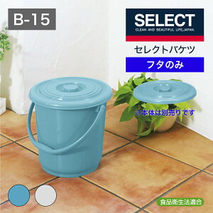 ycXz ZNgoPcB[15 t^ u[ O[ Hiq@K {{͕̂ʔł SHINKIGOSEI