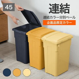【公式直営店】限定カラー 連結カラー分別ペール 45 イエロー ライトイエロー ネイビー 屋外 外置き スリム 分別 キッチン リビング スリム ジョイント ゴミ箱 45リットル ゴミ箱 SHINKIGOSEI