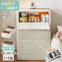 楽天市場】プラスチック ケース 大型の通販