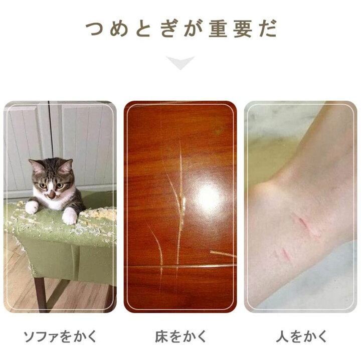 楽天市場】猫 ダンボール つめとぎ 猫のつめとぎ 爪とぎ 爪研ぎ 猫爪とぎベッド ソファ型爪とぎ ペットソファ ペットベッド 強化ダンボール 高密度 猫ベッド スクラッチャー スクラッチボード つめとぎ ガリガリ 頑丈 ストレス解消 耐荷重20KGまで : シンマルショップ