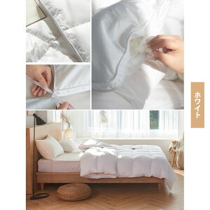 Hѕzc VO _bN_Et@Co[95 tH I[V[Y 􂦂 R hL h_j ʋC y zCg 150x200cm [U800g