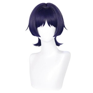 _ 񂵂EBbOQ/URXvEBbOϔMEBbO w   ϑ ECbOlbgt RXvpRXv  cosplay wig