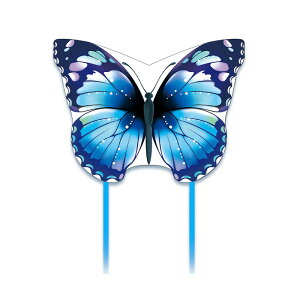  JCg g q 悭 ߋ    300tB[g̃XgOJCgnht