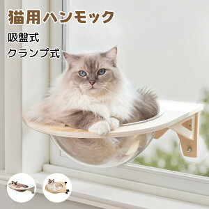 y10%OFFN[|X[p[SALEzL nbN Lxbh z Nv nbN Lp ω׏d30kg Xy[XJvZ Lp nbN ͋z   tȒP ybg݂