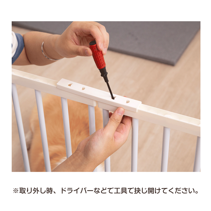 楽天市場】【最大12%OFFクーポン&P5倍☆先着5名】ペット