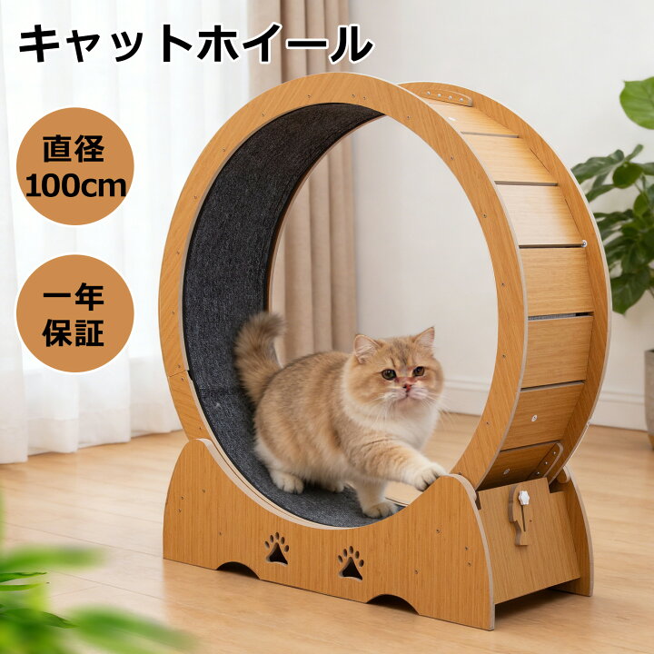 楽天市場】【3000円OFFクーポン☆10日まで】キャットホイール 猫 直経 