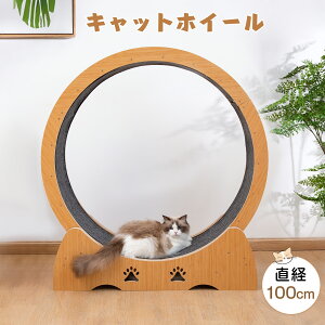 y2000~OFFN[|11܂ŁzLbgzC[ L o100cm [i[ Lbgi[ jOzC[ LbgEH[N ]  ؐ LzC[ ^p  }bg