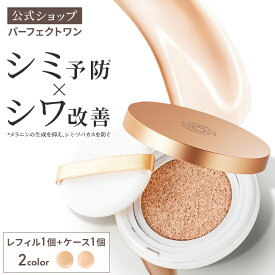 【公式】【レフィル1個＋ケース1個】パーフェクトワン 薬用リンクル＆カバークッションファンデーション / 新日本製薬 シワ改善 美白ケア / コラーゲン 高密着 / ピンクナチュラル ナチュラル / ファンデーション 日本製 / 送料無料 _p1p20