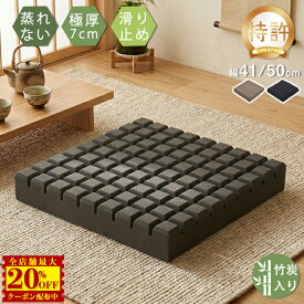 【楽天配送】フロアクッション 腰痛対策 蒸れない 椅子 クッション 座布団 疲れない 体圧分散 イス デスクワーク テレワーク 在宅勤務 車用 車椅子 高反発 大きい 介護 姿勢サポート 猫背 ざぶとん 洗える おしゃれ 座る 事務 シートクッション ソファ用 プレゼント 父の日