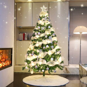 �N���X�}�X�c���[ 150cm�y2025 �l�C�z LED���胉�C�g �g���ȒP ���[�֗� Christmas tree �N���X�}�X���� �v���[���g���͋C���X ���� �v���[���g ������� ���� ���� �N���X�}�X�O�b�Y �ی�p��ܕt