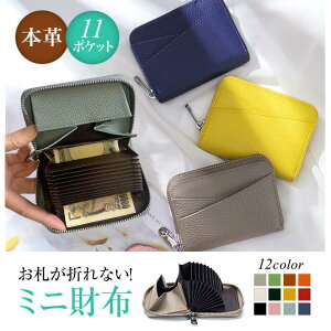 {v ~jz RpNg e fB[X Y z K J[hP[X XL~Oh~ Mtg v[g VG z fB[X J[hP[X J[h S[h t@Xi