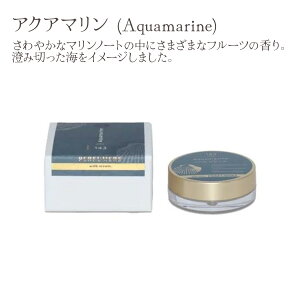 yzPERFUMERS \bhpt[ [ {  荁 lCPA wAPA t[ [Y ANA} uE_CAh XC[g pt[}[Y Mtg v[g ] sps