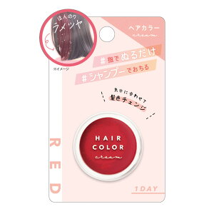 �w�A�J���[�N���[�� 1DAY �w�łʂ邾�� �V�����v�[�ł����� �ق�̂胉���c�� [ �w�A�`���[�N ���F�`�F���W �C�x���g ������ �w���� �w�� �R�X�v�� �n���E�B�� ���C�u ������ �����J���[ ����