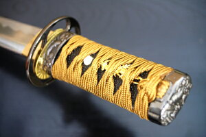 ͑ p  Z -pdl- [ Z  p  Z  RXv ͑ Ϗܗp ] N[jONXt