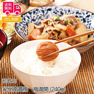 和歌山 紀州南高梅 梅満開(240g)【送料無料(代引不可)】