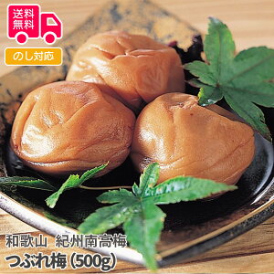 a̎R@IB썂~@Ԃ~i500gjyisjz