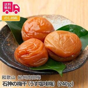 a̎R@IB썂~ ΐ_̔~i~j@i240gjyisjz