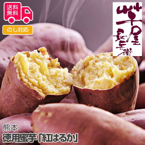 F{@pug͂邩vyisjz