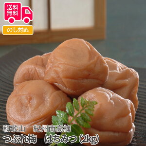 a̎R IB썂~ Ԃ~@݂͂i2kgjyisjz