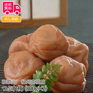 a̎R@IB썂 Ԃ~i800g×2jyisjz