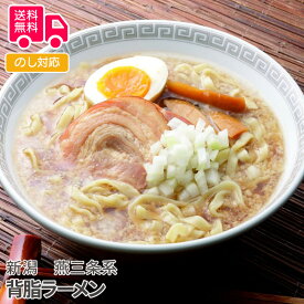 新潟　燕三条系　背脂ラーメン【送料無料（代引不可）】