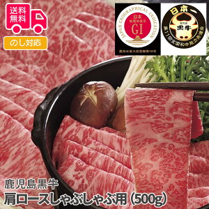  [XԂԗpi500gjyisjz