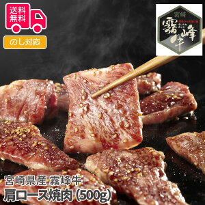 {茧Y  [Xēi500gjyisjz