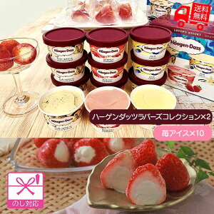 ハーゲンダッツ&苺アイス 【のし対応可】【送料無料(代引不可)】【離島配送不可】[ 春ギフト ホワイトデー アイス アイスクリーム いちごアイスとセット お取り寄せ お祝い お土産 プ