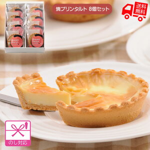 kC \uEXCXăv^g (35g×8)yisjz[ mXC[c Ƃ낯 TNTN  j yY v[g O Mtg Ε Ε  