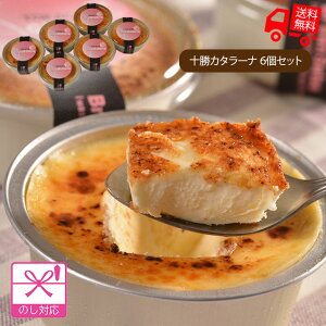 kC \J^[i (80g×6)yisjz[ J^[i N[`[YƐN[L[  j yY v[g O Mtg Ε Ε 