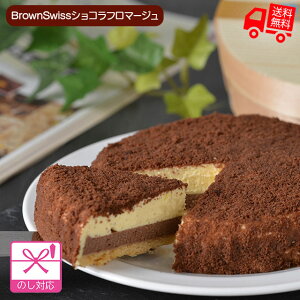 チョコ チーズケーキ お取り寄せ ケーキの人気商品 通販 価格比較 価格 Com チョコ チーズケーキ お取り寄せ ケーキの人気商品 通販 価格比較 価格 Com