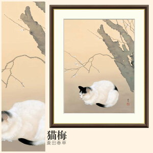 yzGz L~ Hct F4EF6EF8TCY Hct L~ zG G A[g t[ p    i 10Nԕiۏ