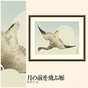 yzGz ̑OԊ k F4EF6EF8TCY k ̑OԊ zG G A[g t[ p    i 10Nԕiۏ