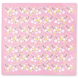 y啗C~z݂̑啗C~ wijx [ { a a g a_ ԕ ̉ t̉ 킢 70cm GRobO sN ] sps