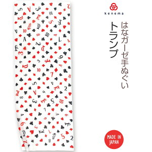 y ͂ȃK[[ʂ zgv kenema 51247 [ {  @ K[[n 炩 ӂ J[h Q[ n[g Xy[h N[o[ _C    t@ubN ^yX