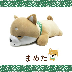 }  ܂߂ ܂ ܂߂ [  ܂ NbV ʂ  CeA Č    { ͗l 킢 ČObY ] sps